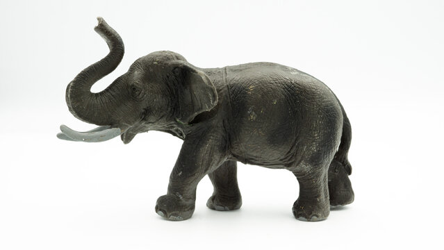 jungle animals toy isolated on white background