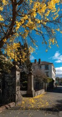 A pathway lined with fallen, vibrant yellow leaves leads through a stone archway, under a canopy of trees, to a classic, light-colored building on a sunny autumn day.