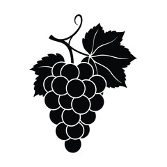 Elegant Silhouette of Grapes Vine Fruit Design Graphic on White Background