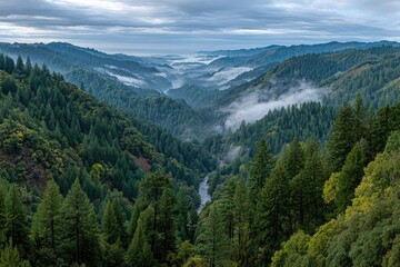 Fototapeta premium Misty valley vista, lush green forests, river below