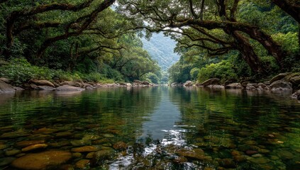 River through Forest Canopy Reflection