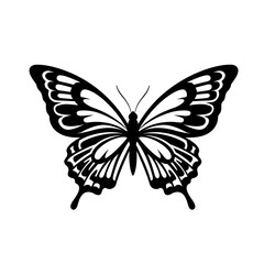 Black and white  illustration of butterfly with detailed wings, elegant insect design for nature, wildlife, and decorative themes.