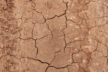 dry cracked earth with tyre tracks