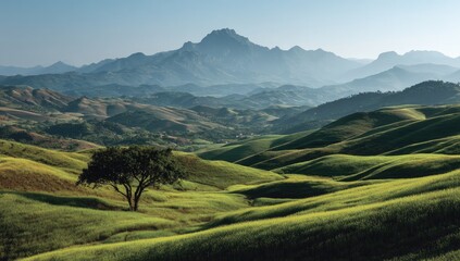 Fototapeta premium Serene landscape; lone tree on rolling green hills beneath hazy mountains