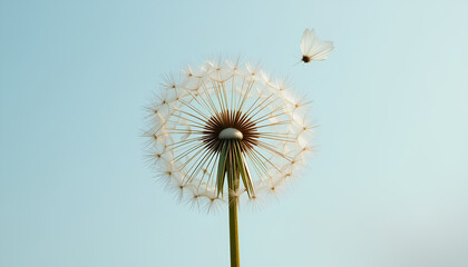 A close-up view of a dandelion seed flying off against a tranquil blue sky, evoking a sense of serenity, lightness, and the beauty of nature and freedom.