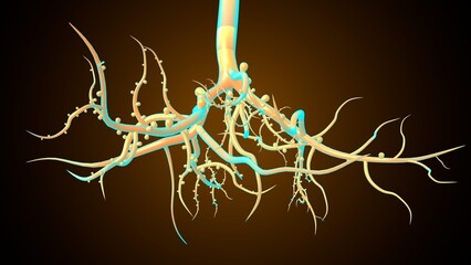 Plants root system. 3d illustration
