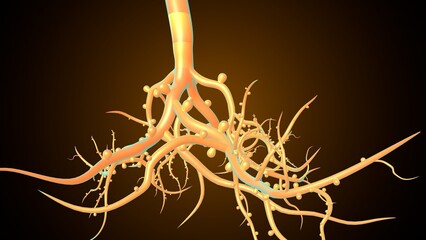 Plants root system. 3d illustration