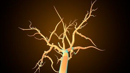 Fototapeta premium Plants root system. 3d illustration