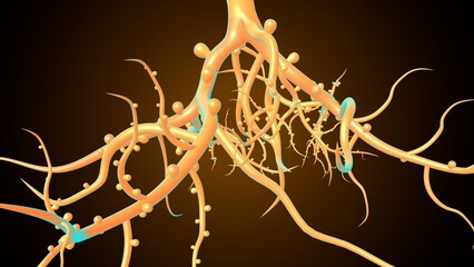 Plants root system. 3d illustration