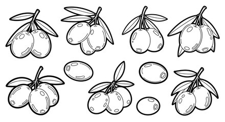 Collection of olives on branches, whole olives, and sliced olives, depicted as line art on an isolated white background for coloring.