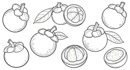 Black and white outline of whole and sliced mangosteens, the 