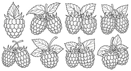 Cluster of fresh raspberries with leaves, in black and white outline, depicted on an isolated white background.