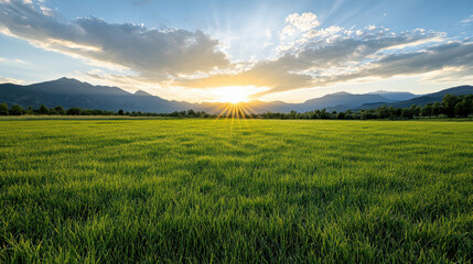 Fototapeta premium Sunrise over peaceful meadow with vibrant green grass and distant mountains