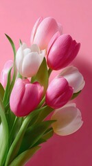 Obraz premium Beautiful Bouquet of Pink and White Tulips