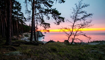 Serene Sunset Over a Calm Baltic Sea with Pine Trees.