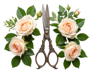 Vintage Scissors with Roses and Green Leaves, Elegant Craft Theme, Isolated PNG