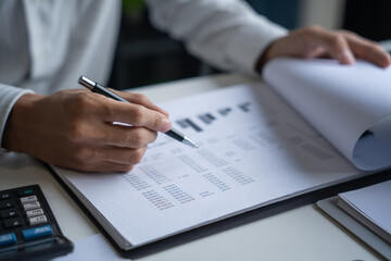 Accountant Auditing Business Financial Records