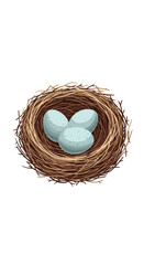 Three delicate blue bird eggs resting safely in a woven nest of twigs and straw on a white background