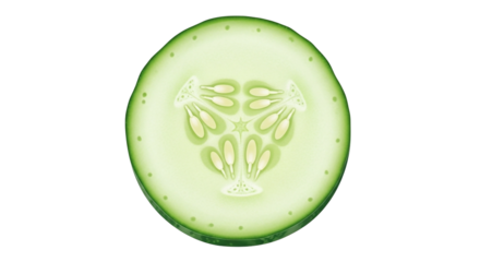 Fresh Green Cucumber Slice with Seed Pattern on Transparent Background
