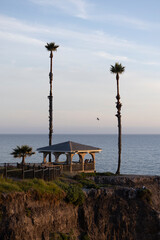 Obraz premium Palm trees and a gazebo frame the coastline of Pismo Beach, California, USA.