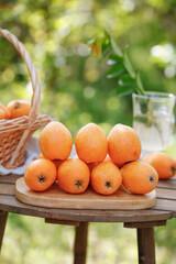 Fresh Alpine Loquat Fruits from Sichuan Panzhihua on Wooden Board in Garden Setting