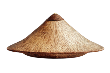 Conical wooden lid, light brown, intricate grain