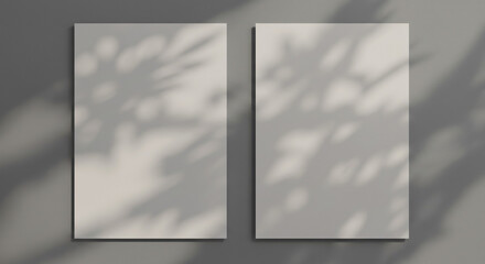 Minimalist Blank Canvases with Natural Leaf Shadows.