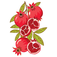 Ripe red pomegranates with green leaves and brown stems fruit