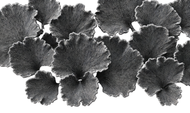 Gray, textured, circular shapes, overlapping