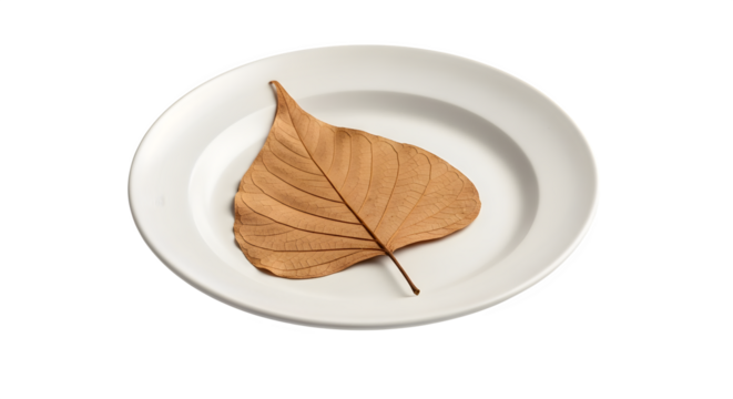 Dry brown leaf on a white plate isolated on transparent background, showcasing its intricate veins and textures in a minimalist composition
