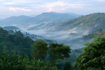 Mountain landscape with fog