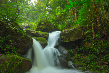 Obraz premium waterfall in the jungle