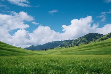 Fototapeta premium Landscape with green field and blue sky