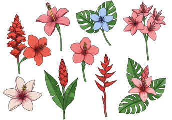 Vibrant tropical floral collection with hibiscus ginger and monstera leaves for summer designs. Set of decorative floral doodles elements. Flat cartoon vector illustration.