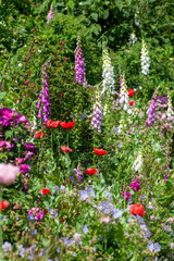 Fototapety na wymiar - Fototapeta24.pl