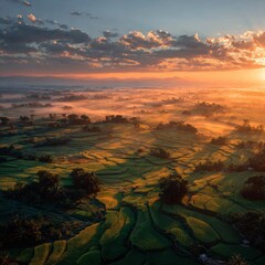 Aerial Drone Shot of Rice Fields at Sunrise