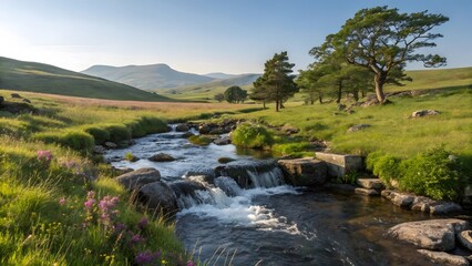 Serene mountain stream flowing through a lush green valley