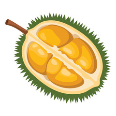 Durian design juicy fresh fruit icon vector template. Raw durian illustration perfect for tropical fruit themes, food branding, exotic design, and agriculture visuals.