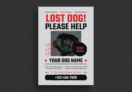 Lost Dog Flyer