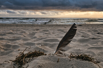 Sound of the Sea - Usedom Baltic Sea Vacation Holidays Sunset Beach Chair Relaxation Time-out...