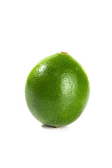 Fresh Green Lime Fruit Isolated on White Background
