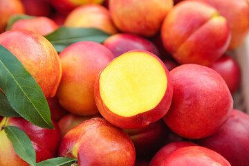 Fresh Peaches and Nectarines with Yellow Flesh - Ripe Summer Stone Fruits