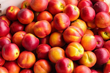 Fresh Yellow Red Nectarines from Shaanxi Province China Orchard Harvest Stone Fruit Collection