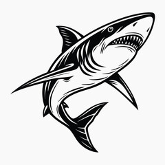 Obraz premium Aggressive black and white illustration of a great white shark with open jaws and sharp teeth predator