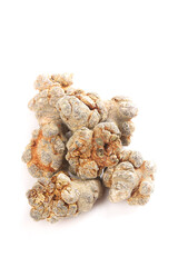 Wenshan Panax Pseudoginseng Dried Roots Traditional Chinese Herbal Medicine Farmers Harvest