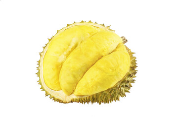 Fresh Thai Durian Fruit with Golden Flesh Isolated on White Background