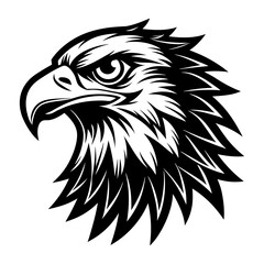 Fototapeta premium eagle head vector