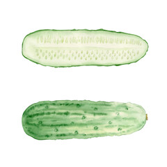 Watercolor illustration of a whole and halved cucumber. Botanical and food art style, perfect for cookbooks, packaging, menus, healthy food design, educational materials and kitchen decor.