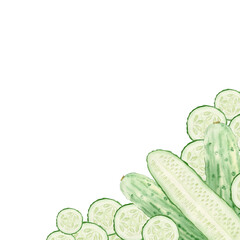 Frame with hand drawn watercolor illustration of cucumbers and sliced cucumber fruit. Clipart for ecomarket, kitchen menu, food, natural cosmetics label. Template on transparent background.