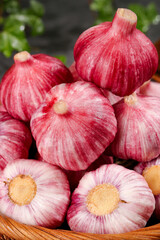 Obraz premium Fresh Purple Striped Garlic Bulbs Shandong Multiclove Variety with Skin in Wicker Basket